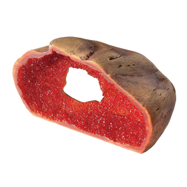 Exo Terra Crystal Cave